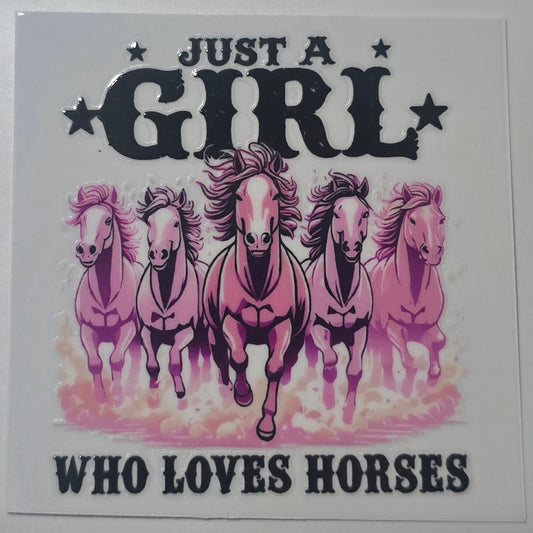 Just a girl who loves horses