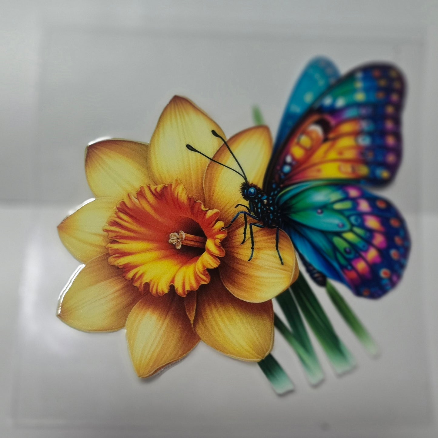 Butterfly on daffodil