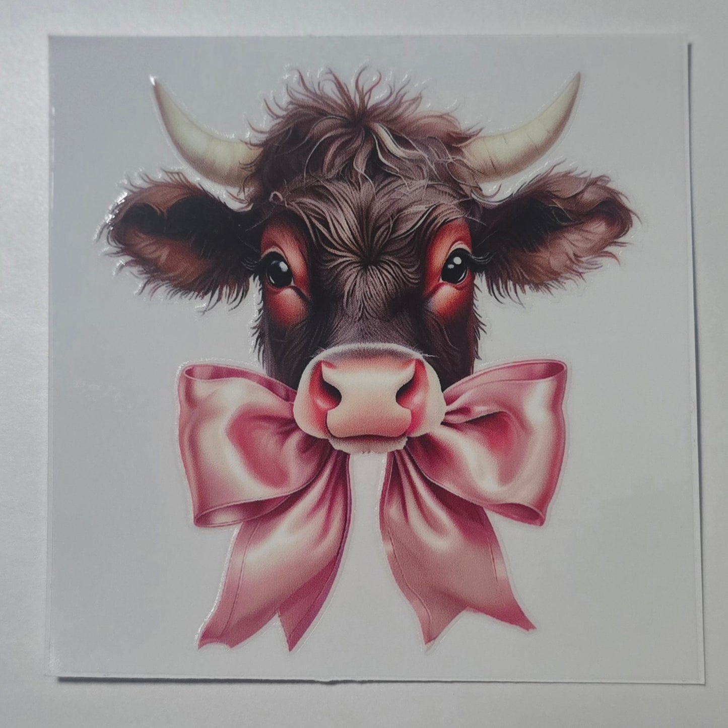 Highland cow bow