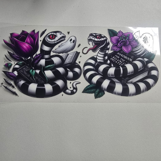 Black/white snakes