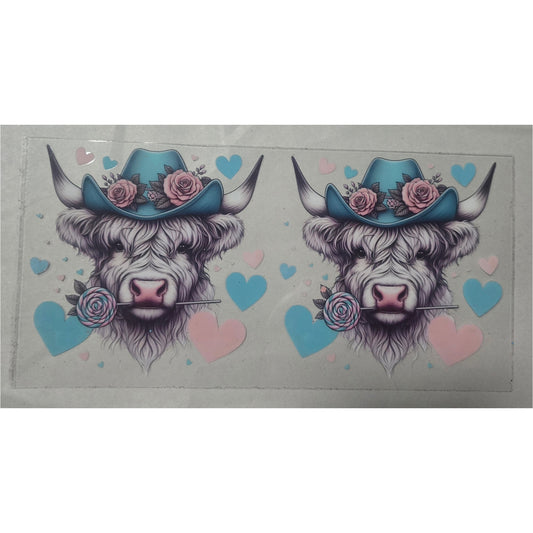 Blue pink highland cows