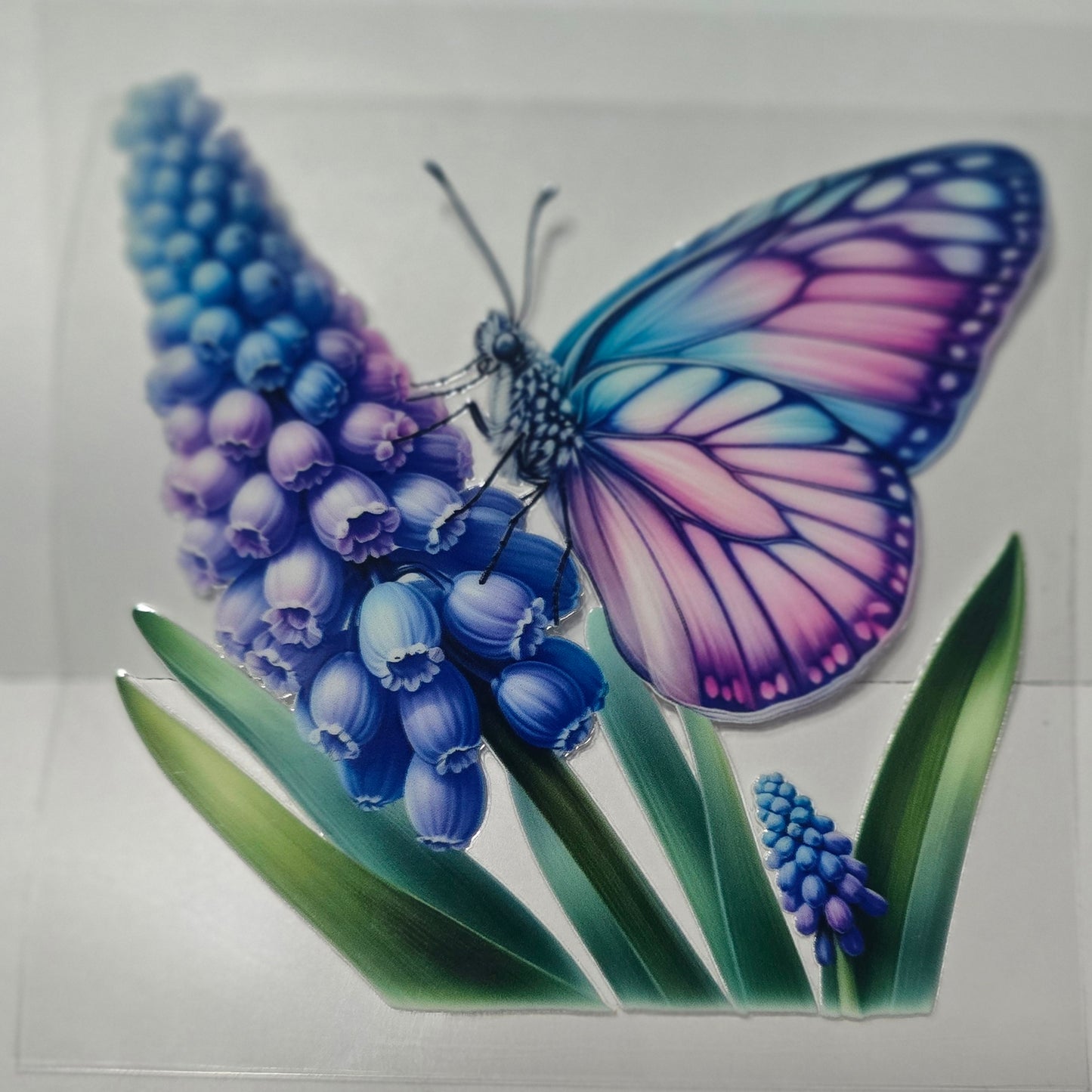 Butterfly purple flowers