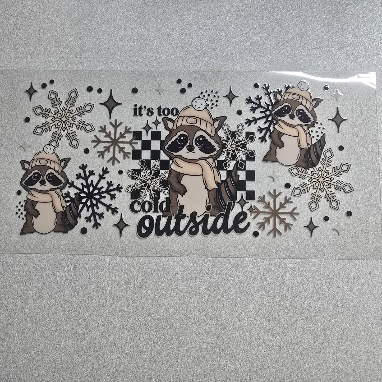 Its too cold outside raccoon