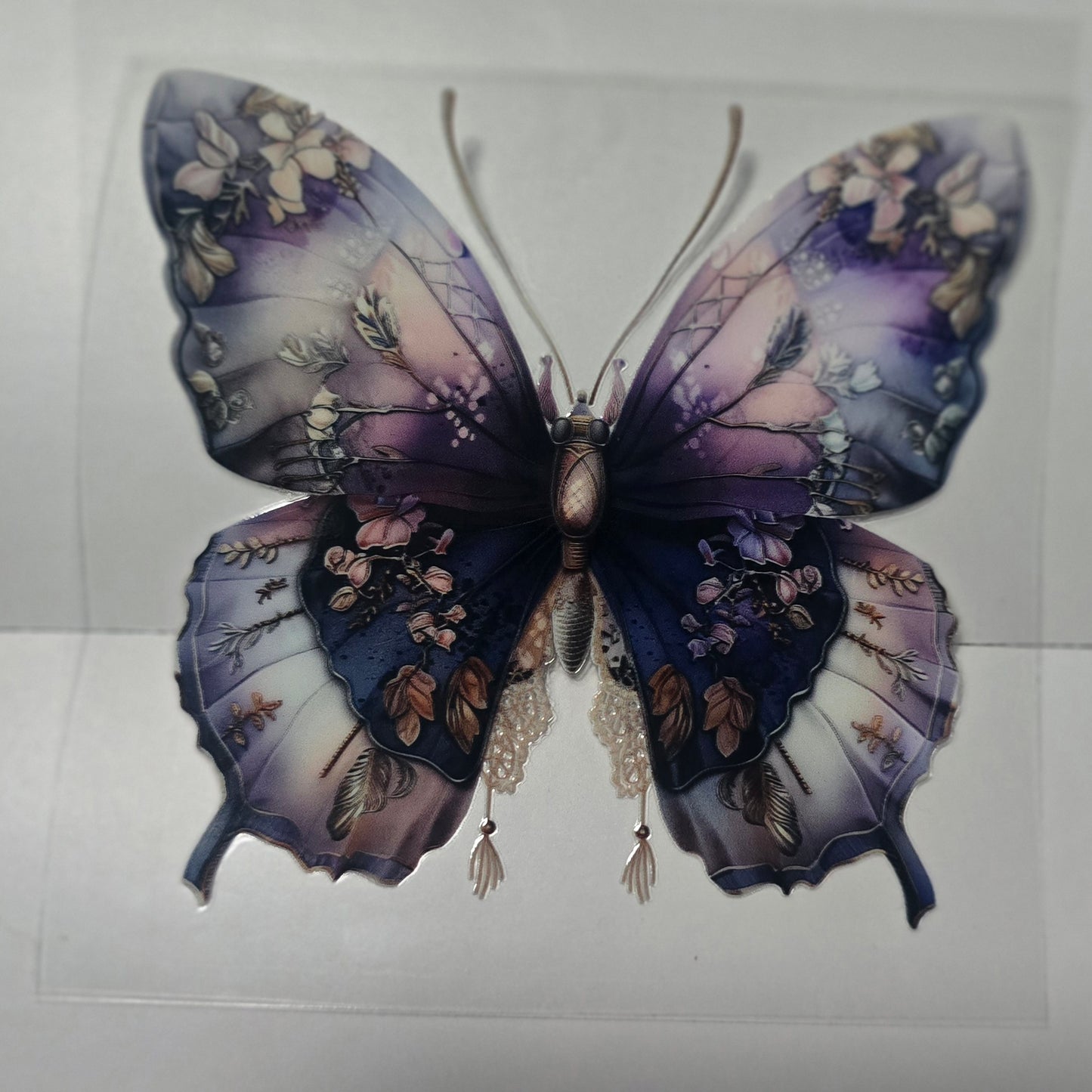 Purple moth